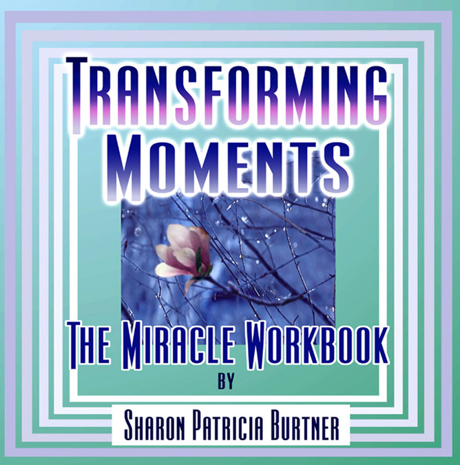 cover of Transforming Moments; The Miracle Workbook